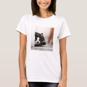 Niedliche Kleintiere   Schwarze und weiße Kätzchen T-Shirt