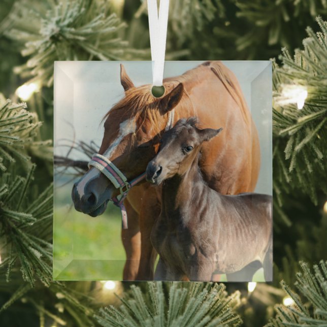 Niedliche Kleintiere | Schwarzer Fohlen mit Mama Ornament Aus Glas (Insitu)