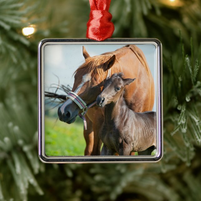 Niedliche Kleintiere | Schwarzer Fohlen mit Mama Ornament Aus Metall (Baum)