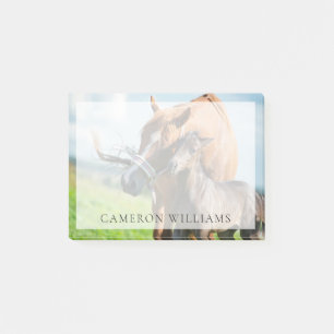 Niedliche Kleintiere   Schwarzer Fohlen mit Mama Post-it Klebezettel