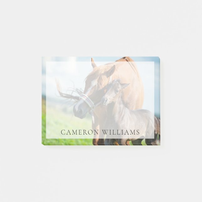 Niedliche Kleintiere | Schwarzer Fohlen mit Mama Post-it Klebezettel (Vorderseite)