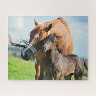 Niedliche Kleintiere Schwarzer Fohlen mit Mama Puzzle