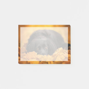 Niedliche Kleintiere   Schwarzer Spanierwelpen Post-it Klebezettel