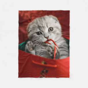 Niedliche Kleintiere   Scottish Fold Kitten Fleecedecke