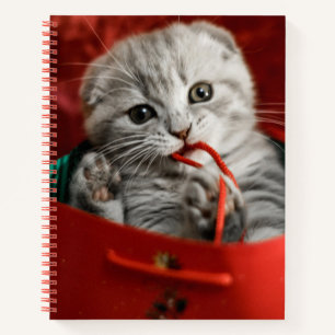 Niedliche Kleintiere   Scottish Fold Kitten Notizbuch