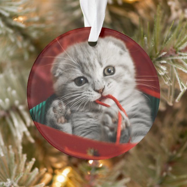 Niedliche Kleintiere | Scottish Fold Kitten Ornament (Baum)
