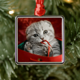 Niedliche Kleintiere   Scottish Fold Kitten Ornament Aus Metall