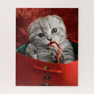 Niedliche Kleintiere Scottish Fold Kitten Puzzle