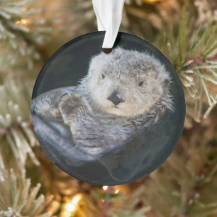 Niedliche Kleintiere Sea Otter Floating Ornament