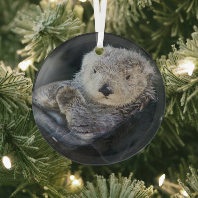 Niedliche Kleintiere | Sea Otter Floating Ornament Aus Glas (InSitu)