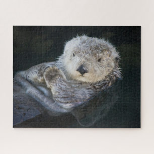 Niedliche Kleintiere   Sea Otter Floating Puzzle