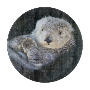Niedliche Kleintiere   Sea Otter Floating Schneidebrett