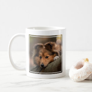 Niedliche Kleintiere Shetland Sheepdog Welppy Kaffeetasse