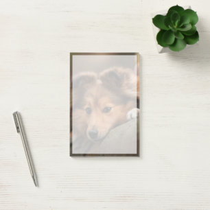 Niedliche Kleintiere Shetland Sheepdog Welppy Post-it Klebezettel