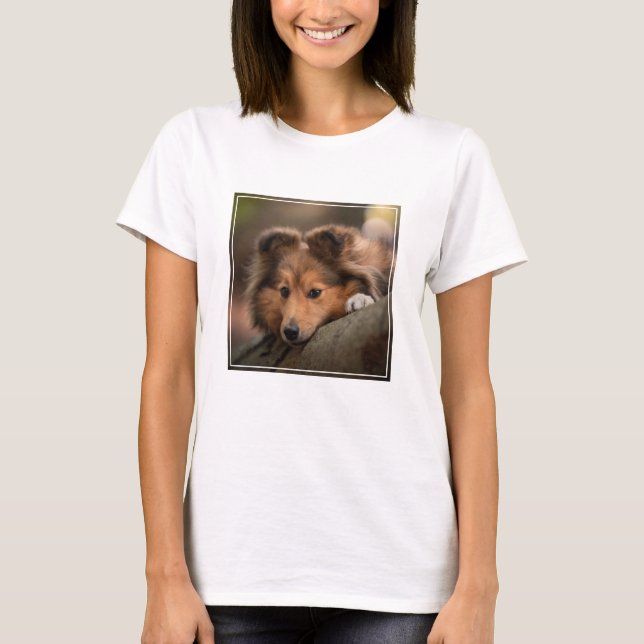 Niedliche Kleintiere | Shetland Sheepdog Welppy T-Shirt (Vorderseite)