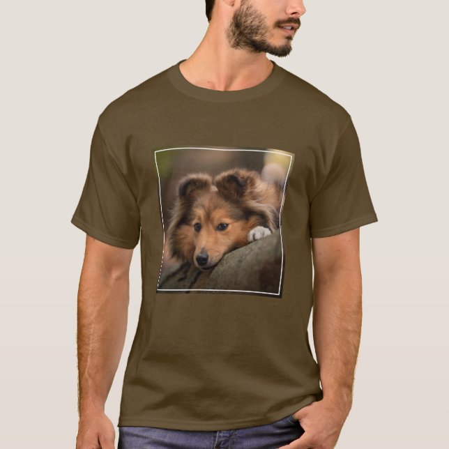 Niedliche Kleintiere | Shetland Sheepdog Welppy T-Shirt (Vorderseite)