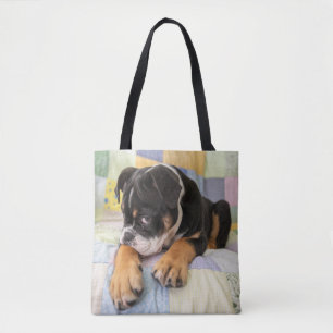 Niedliche Kleintiere Shi Old English Bulldog