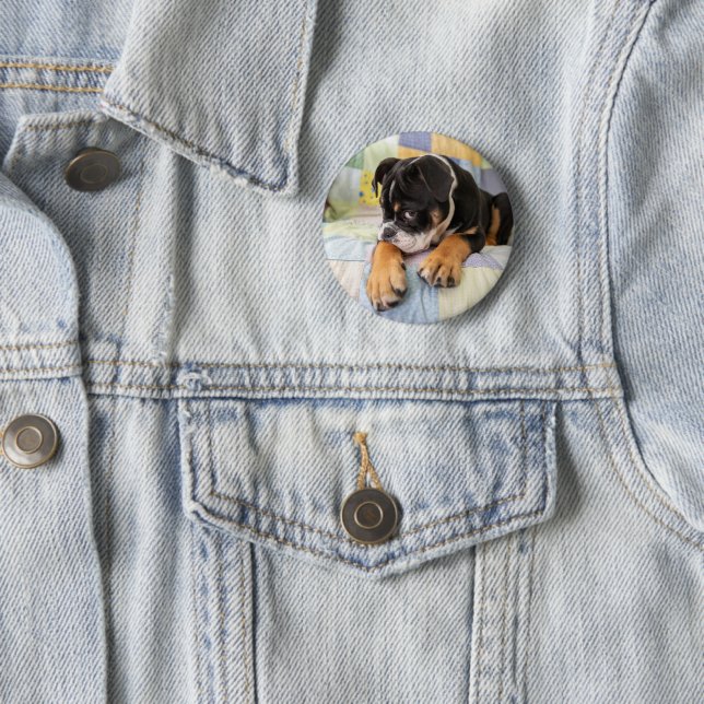 Niedliche Kleintiere | Shi Old English Bulldog Button (Beispiel)