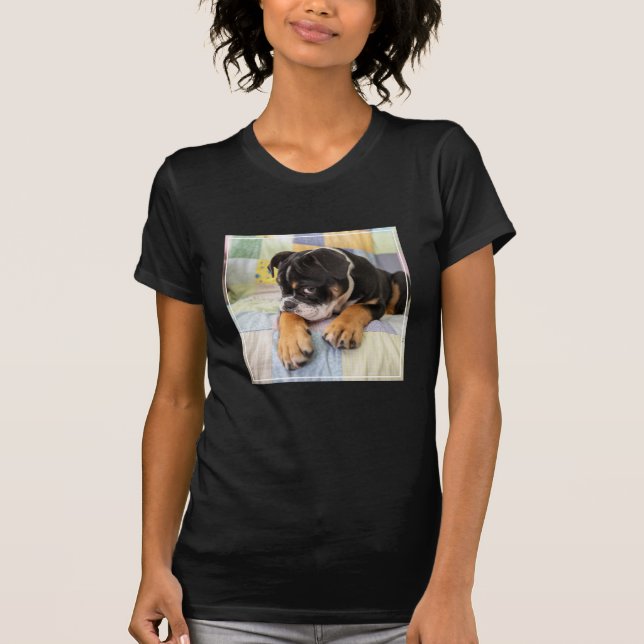 Niedliche Kleintiere | Shi Old English Bulldog T-Shirt (Vorderseite)