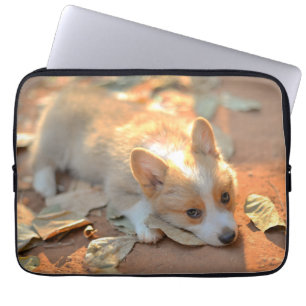 Niedliche Kleintiere   Shy Corgi Laptopschutzhülle