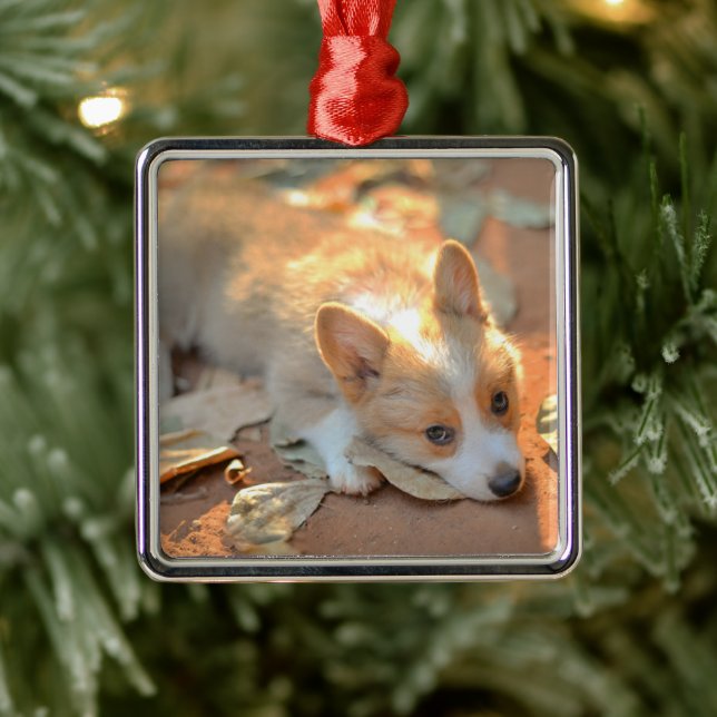 Niedliche Kleintiere | Shy Corgi Ornament Aus Metall (Baum)