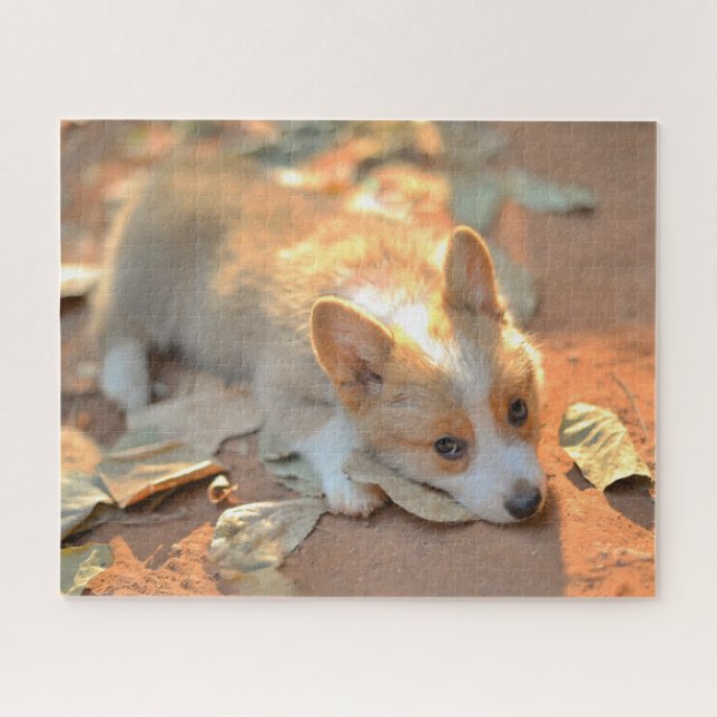 Niedliche Kleintiere | Shy Corgi Puzzle (Horizontal)
