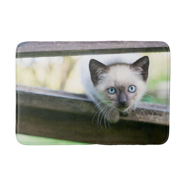 Niedliche Kleintiere | Siamese Kitten 2 Badematte (Vorderseite)