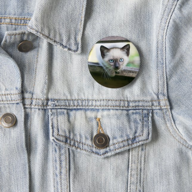 Niedliche Kleintiere | Siamese Kitten 2 Button (Beispiel)