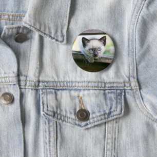 Niedliche Kleintiere Siamese Kitten 2 Button