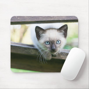 Niedliche Kleintiere   Siamese Kitten 2 Mousepad