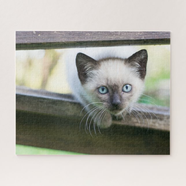 Niedliche Kleintiere | Siamese Kitten 2 Puzzle (Horizontal)