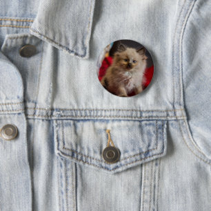 Niedliche Kleintiere Siamese Kitten Button