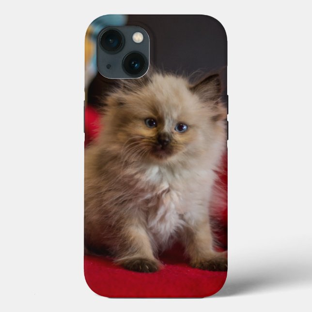 Niedliche Kleintiere | Siamese Kitten Case-Mate iPhone Hülle (Rückseite)
