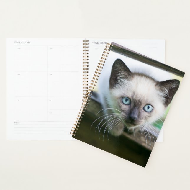 Niedliche Kleintiere | Siamese Kitten Planer (Anzeige)