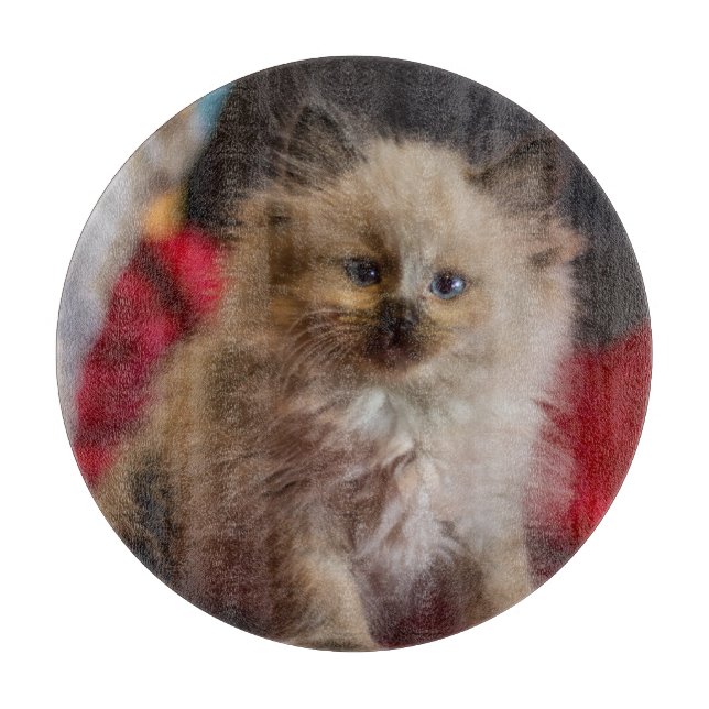 Niedliche Kleintiere | Siamese Kitten Schneidebrett (Vorderseite)