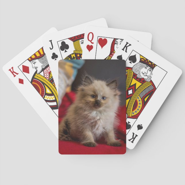 Niedliche Kleintiere | Siamese Kitten Spielkarten (Rückseite)