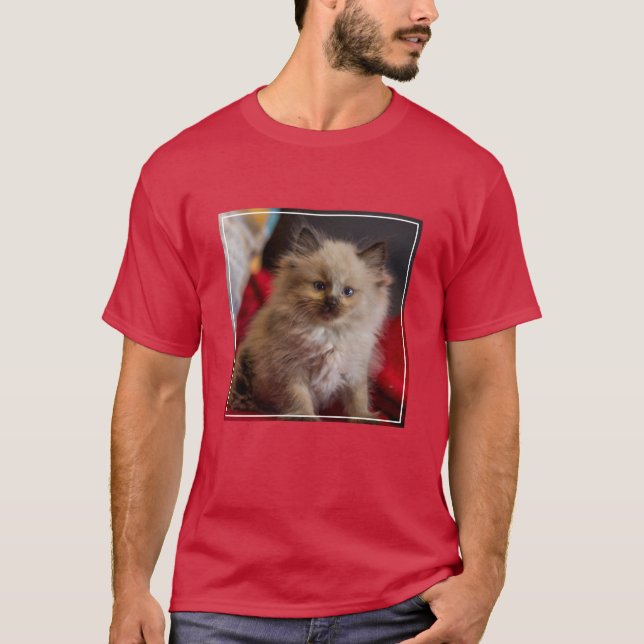 Niedliche Kleintiere | Siamese Kitten T-Shirt (Vorderseite)