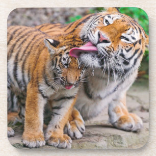 Niedliche Kleintiere Sibirische Tiger-Familie Getränkeuntersetzer
