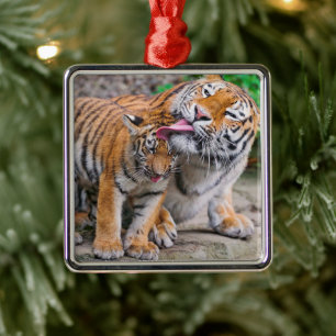 Niedliche Kleintiere   Sibirische Tiger-Familie Ornament Aus Metall
