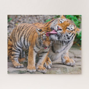 Niedliche Kleintiere   Sibirische Tiger-Familie Puzzle