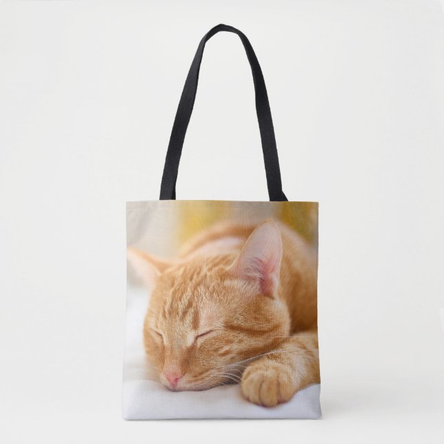 Niedliche Kleintiere | Sleeping Ginger Cat (Vorderseite)