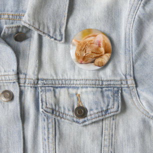 Niedliche Kleintiere   Sleeping Ginger Cat Button