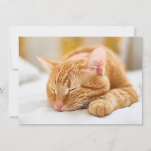 Niedliche Kleintiere   Sleeping Ginger Cat Dankeskarte