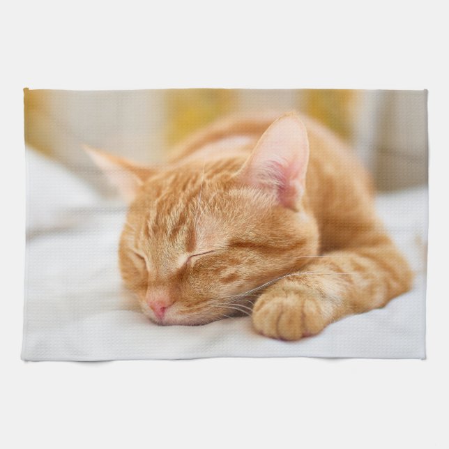 Niedliche Kleintiere | Sleeping Ginger Cat Geschirrtuch (Horizontal)