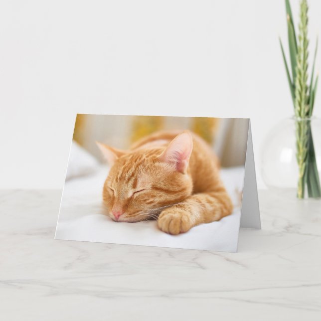 Niedliche Kleintiere | Sleeping Ginger Cat Karte (Vorderseite)