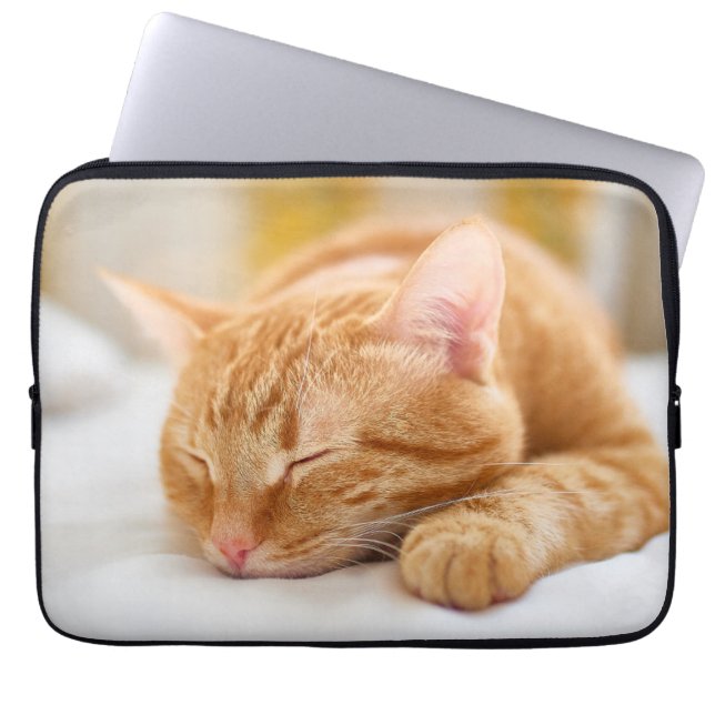 Niedliche Kleintiere | Sleeping Ginger Cat Laptopschutzhülle (Vorderseite)