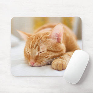 Niedliche Kleintiere Sleeping Ginger Cat Mousepad