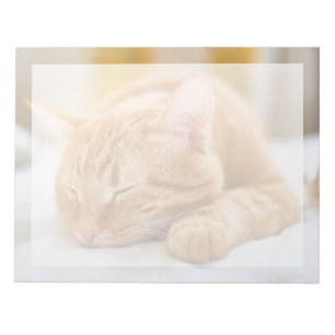 Niedliche Kleintiere Sleeping Ginger Cat Notizblock