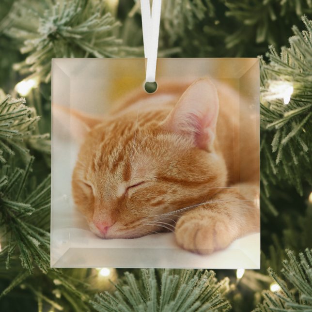 Niedliche Kleintiere | Sleeping Ginger Cat Ornament Aus Glas (Insitu)