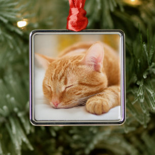 Niedliche Kleintiere   Sleeping Ginger Cat Ornament Aus Metall